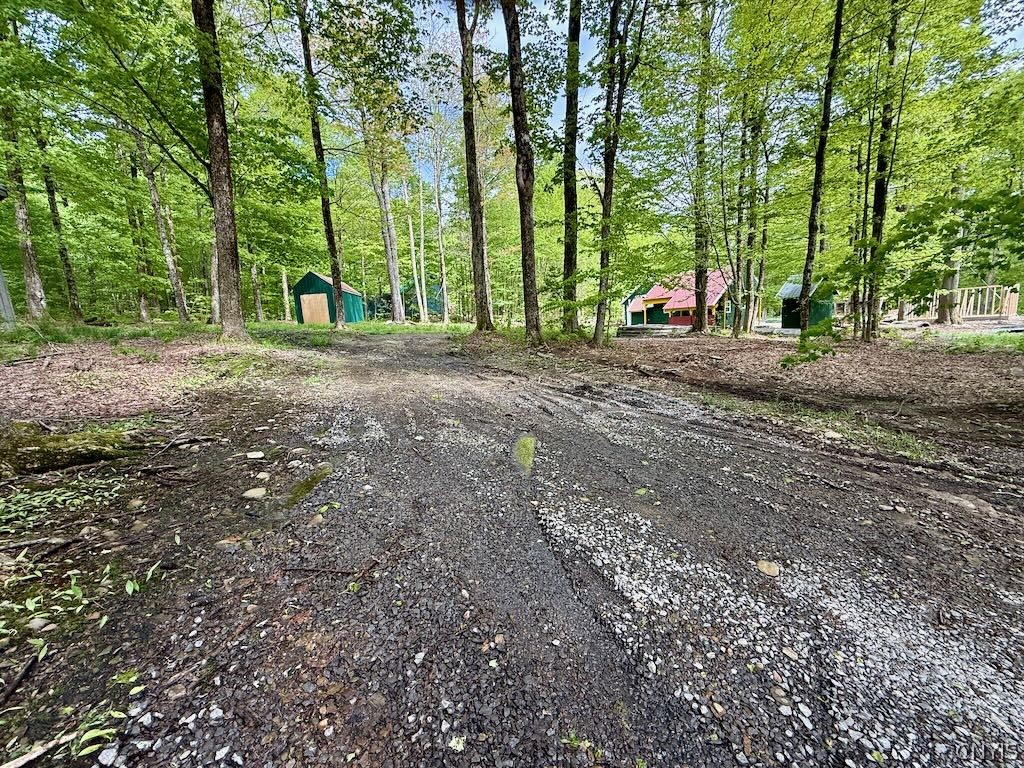 25 Little America Road Richland, NY 13144 - Photo 5 of 10