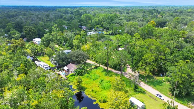 a view of a lush green forest with lots of trees