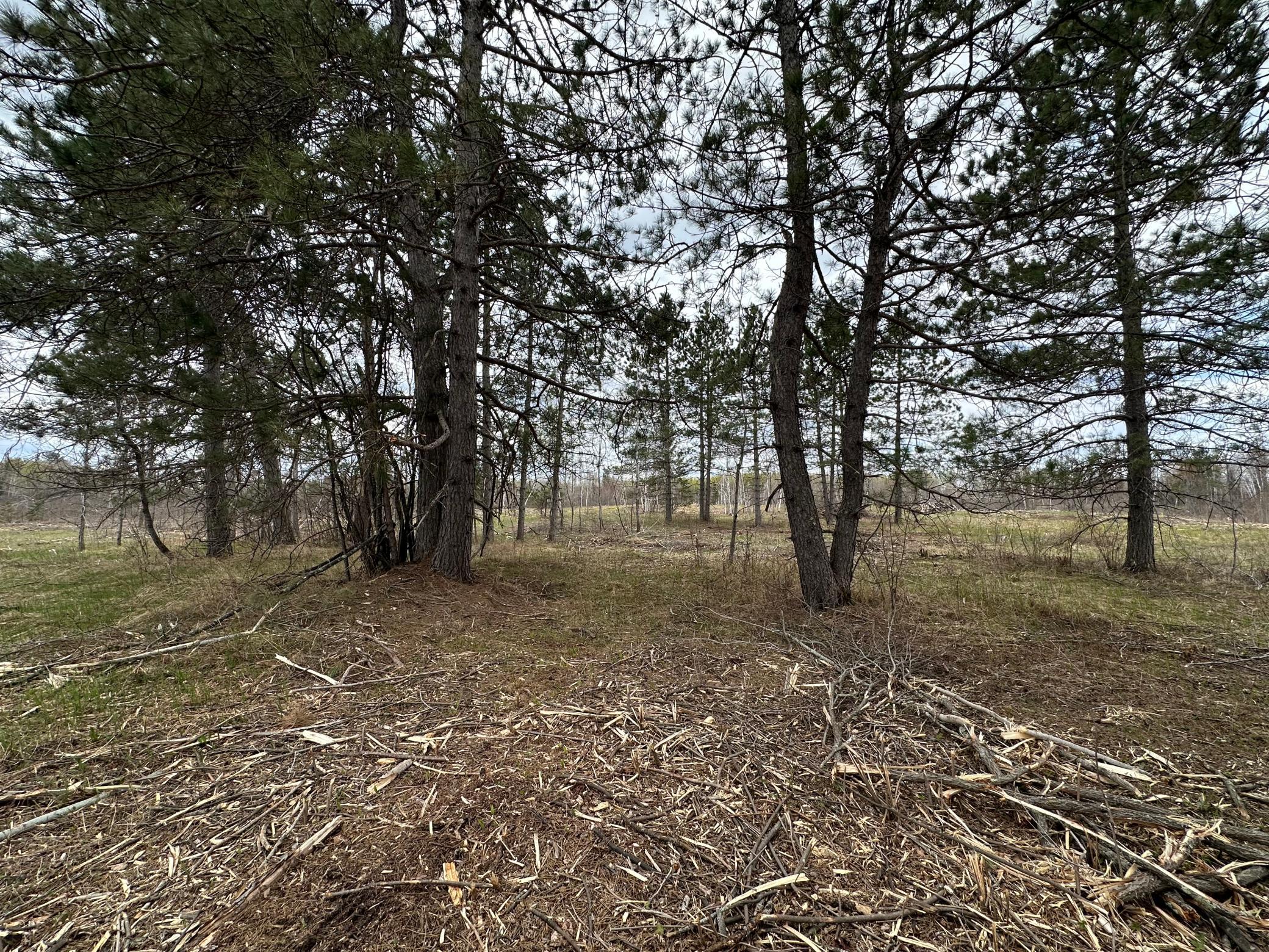 Tbd #3 Koecher Road Kerrick, MN 55756 - Photo 11 of 15 Gallery Image 11
