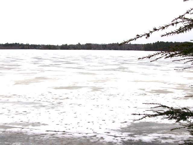 2020 The Point Road East Tomahawk, WI 54487 - Photo 3 of 9 Gallery Image 3