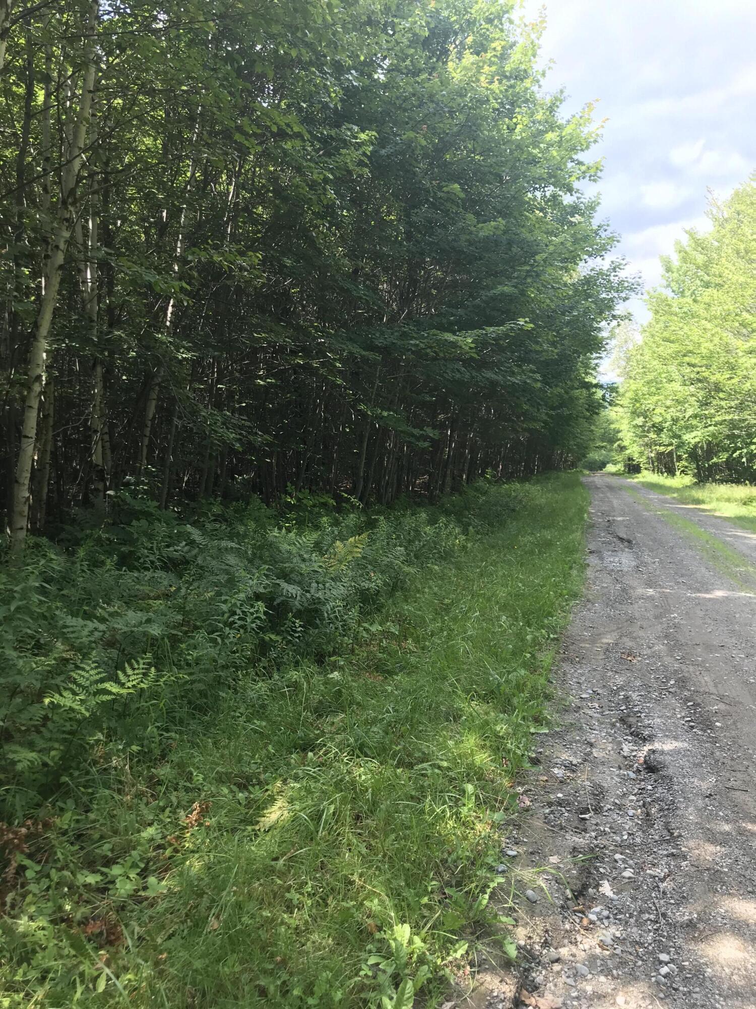 Tbd Millay Hill Road Kingfield, ME 04947 - Photo 9 of 20 7374B772-1442-4D09-BED4-C20ECA33C185