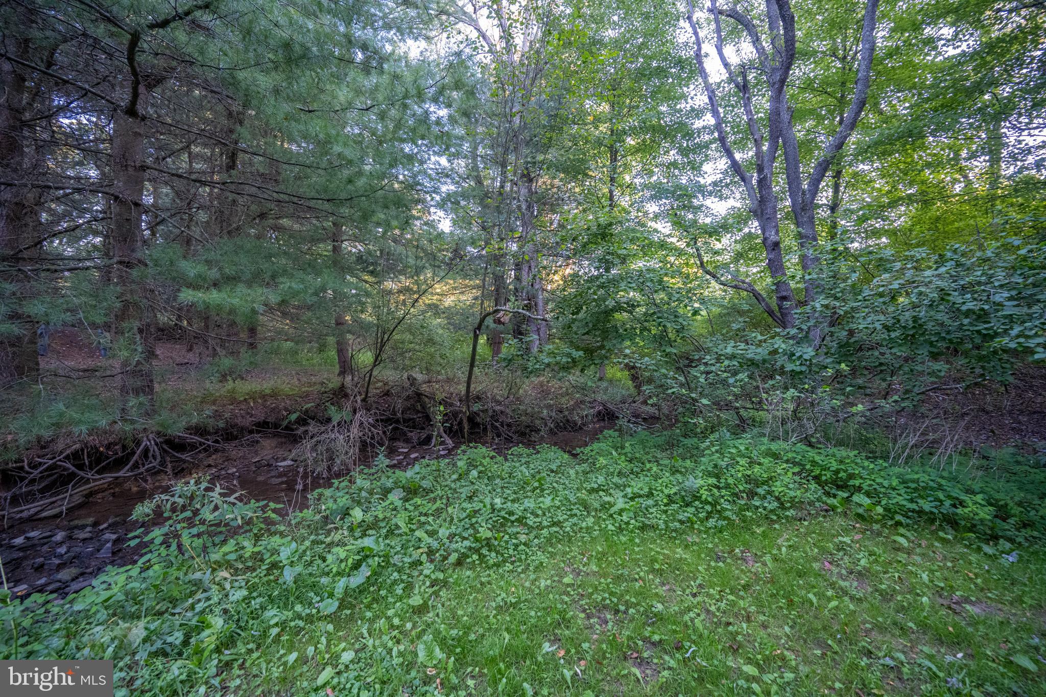 399 Kings Run Road Oakland, MD 21550 - Photo 19 of 63 Gallery Image 19