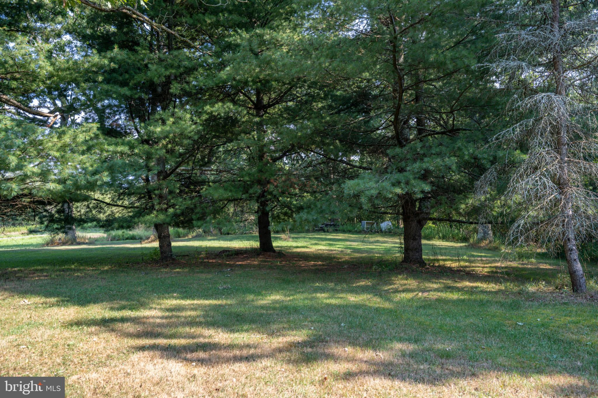 399 Kings Run Road Oakland, MD 21550 - Photo 20 of 63 Gallery Image 20