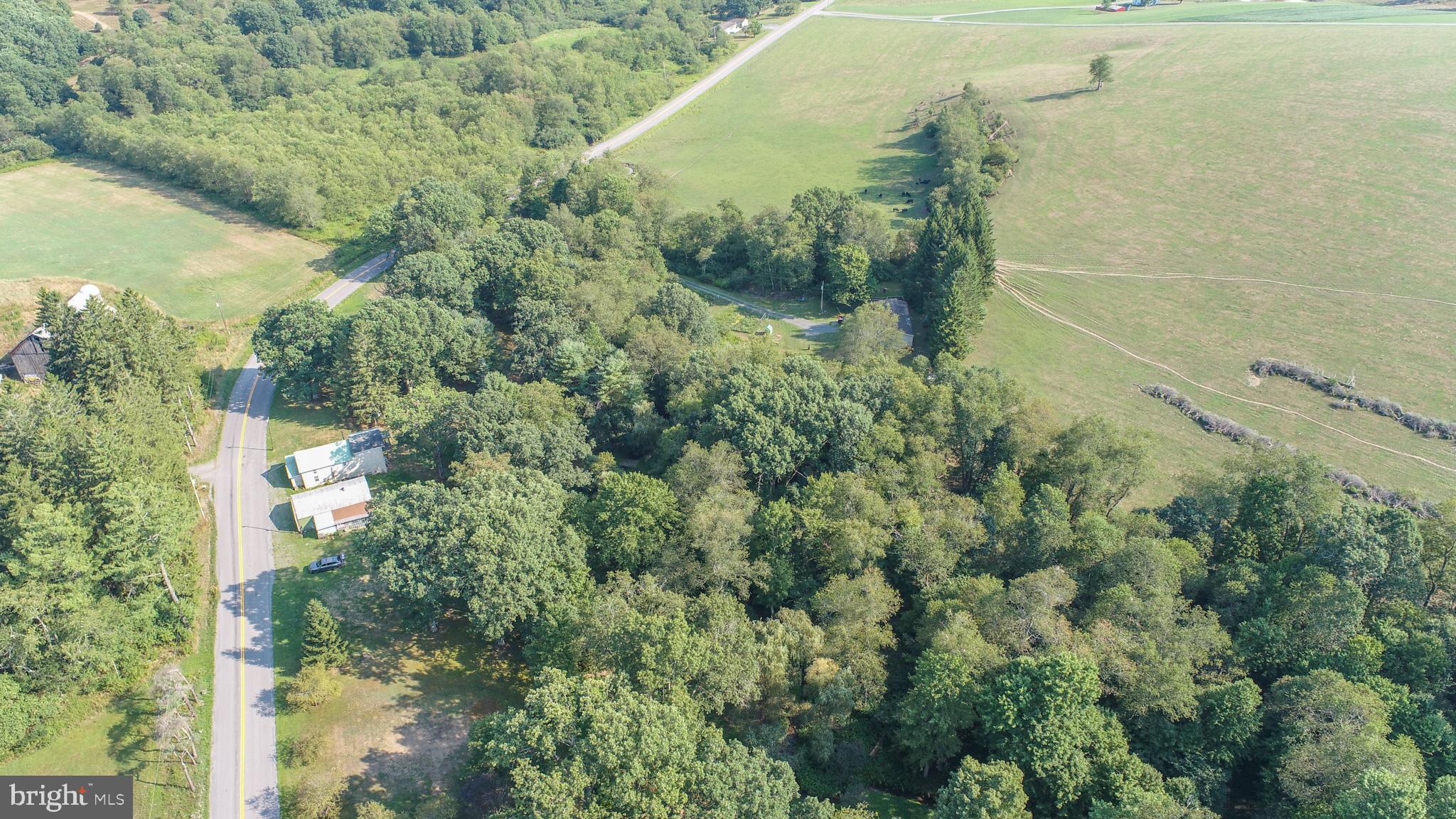 399 Kings Run Road Oakland, MD 21550 - Photo 25 of 63 Gallery Image 25