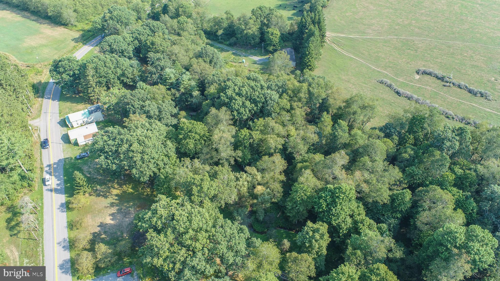 399 Kings Run Road Oakland, MD 21550 - Photo 3 of 63 Gallery Image 3