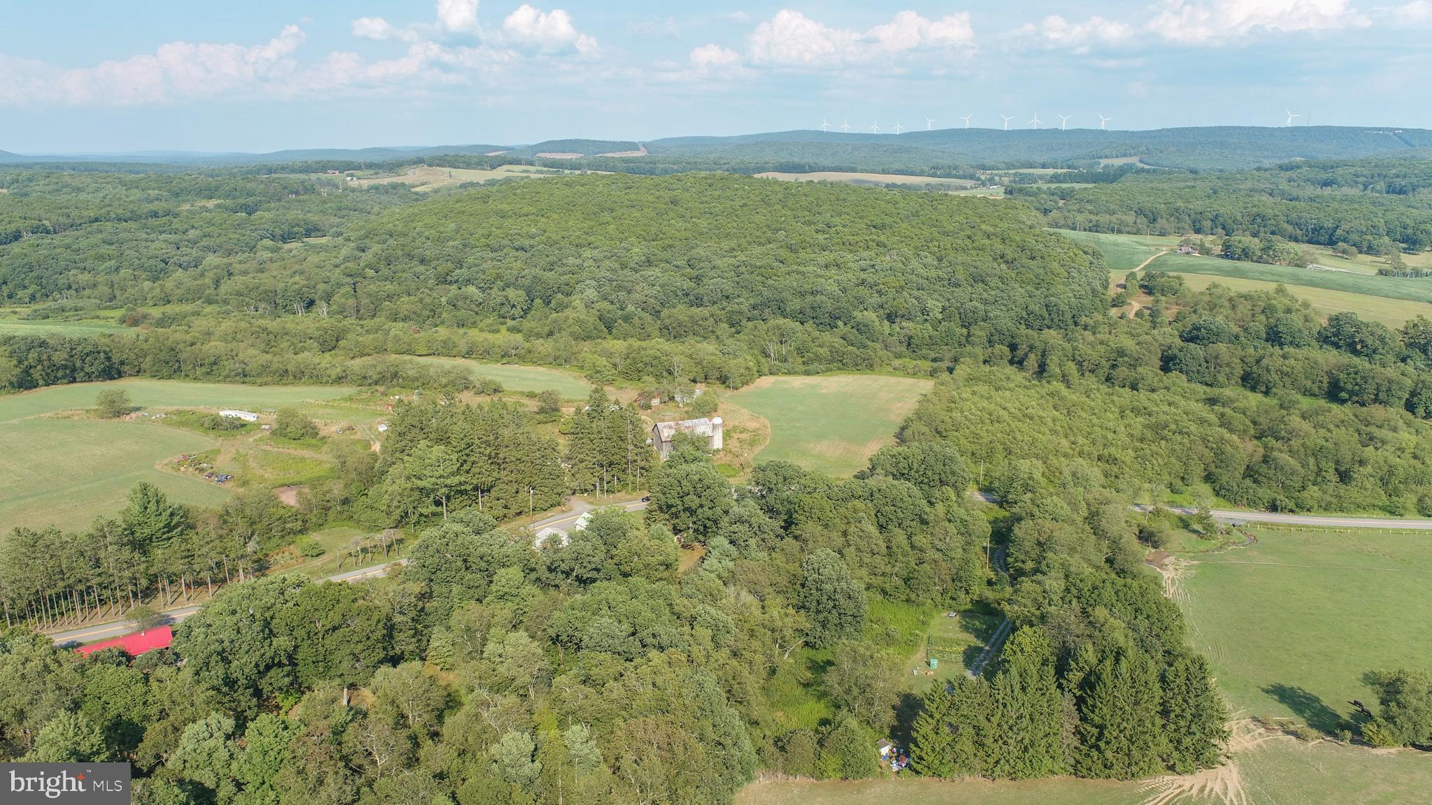 399 Kings Run Road Oakland, MD 21550 - Photo 59 of 63 Gallery Image 59