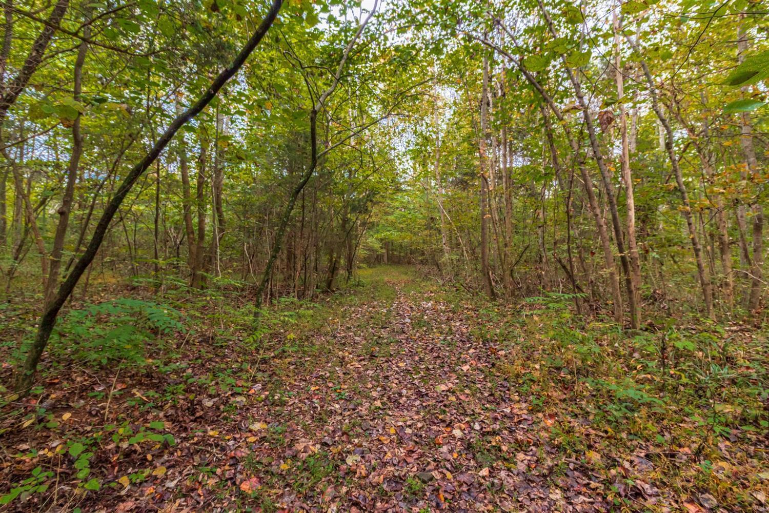 0 Tom Hurley Road Manchester, OH 45144 - Photo 13 of 13