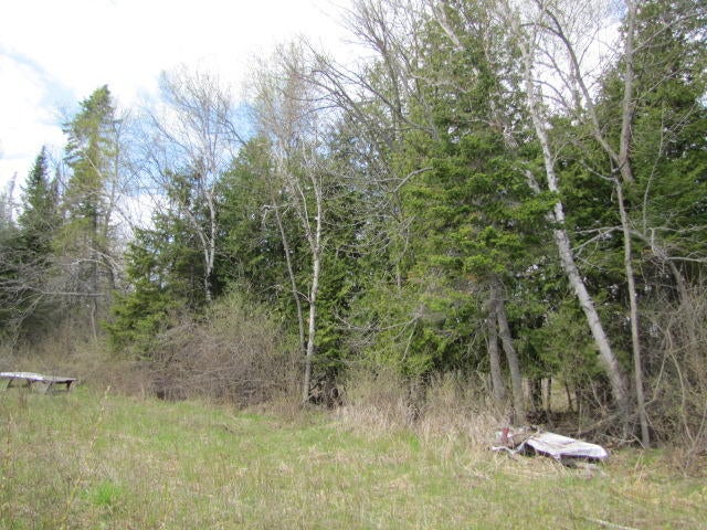 4532 Mt Maria Road Hubbard Lake, MI 49747 - Photo 3 of 4 Gallery Image 3