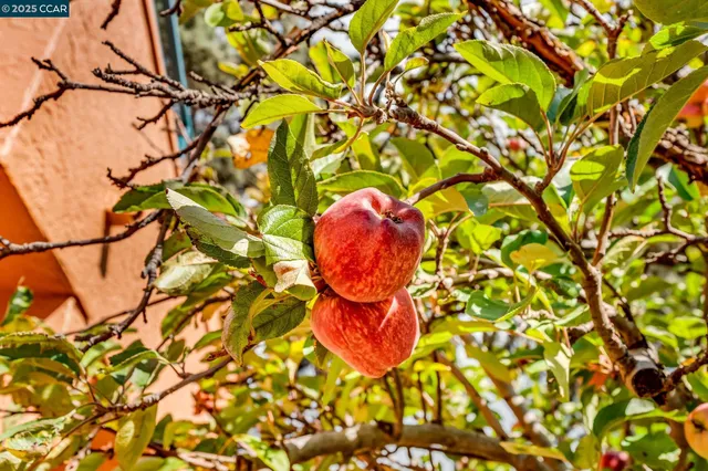 $318,888 | 196 Nantucket Lane, Vallejo, CA 94590