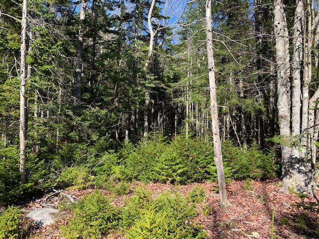 0 Patten Point Road Spruce Head, ME 04859 - Photo 1 of 6 IMG_7875