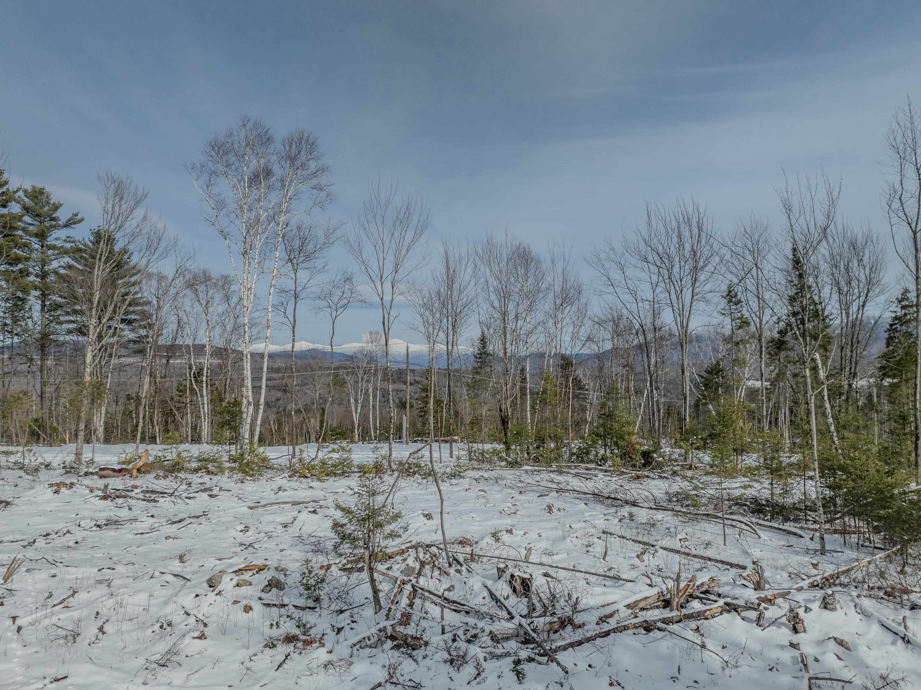 0 Ridge Road, Unit 43 Bethlehem, NH 03574 - Photo 26 of 36