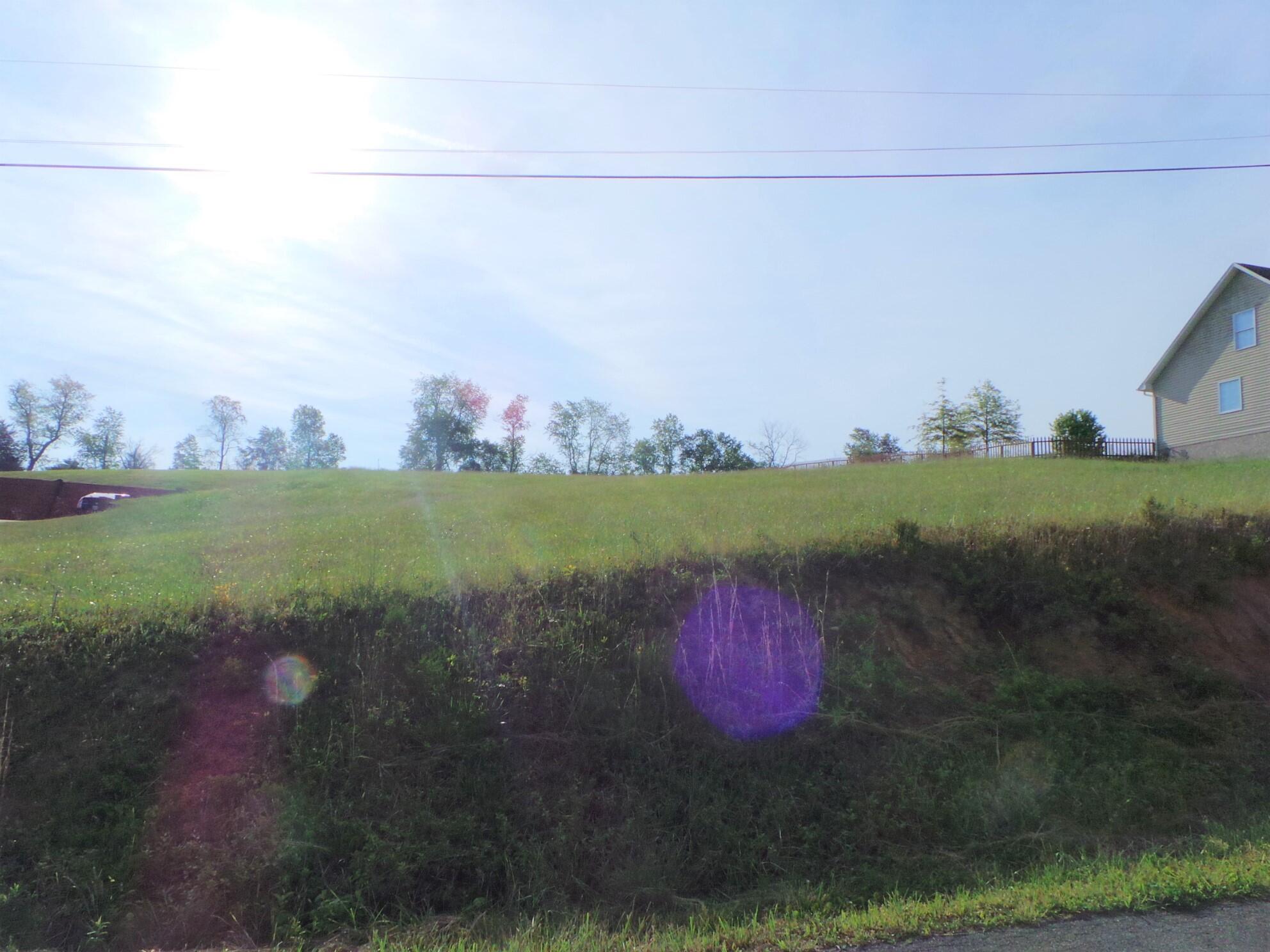 1344 Timber Ridge Road, Unit 5 Bluff City, TN 37618 - Photo 8 of 17 8