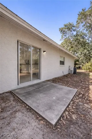 a view of a hallway with wooden floor and a potted plant