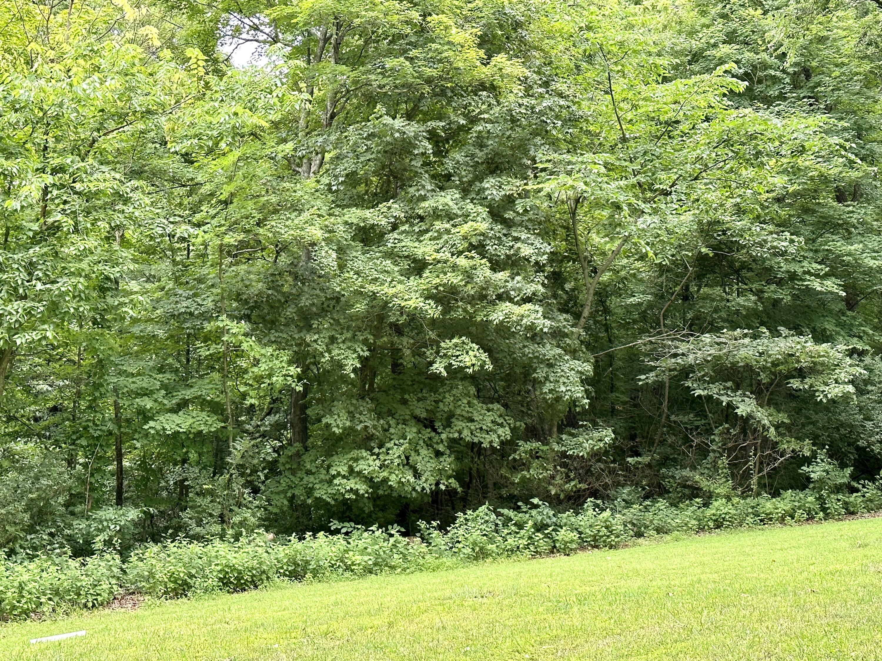 2546 Wagoner Road California, KY 41007 - Photo 14 of 25