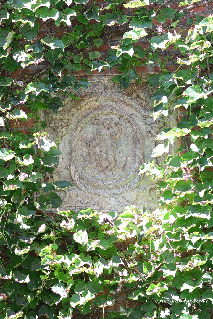 747 East Deerpath Road Lake Forest, IL 60045 - Photo 13 of 15 a close up of a tree