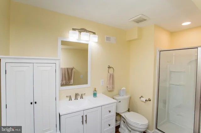 a bathroom with a toilet a sink a mirror a vanity and shower