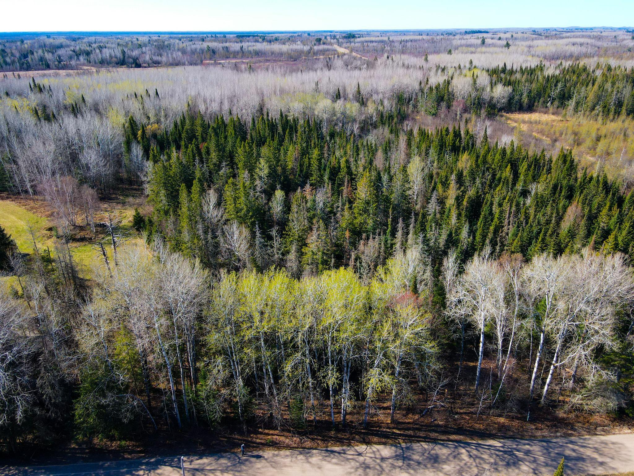 Parcel B Township Road East Floodwood, MN 55736 - Photo 3 of 13
