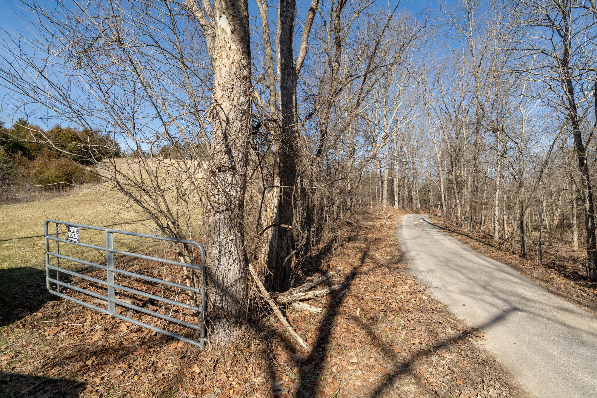 17.67-ac Fork Lick Road Corinth, KY 41010 - Photo 10 of 18 Gallery Image 10
