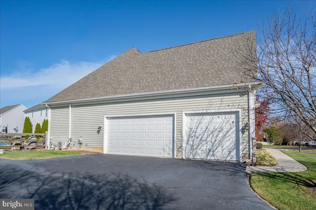 a view of backyard and tree