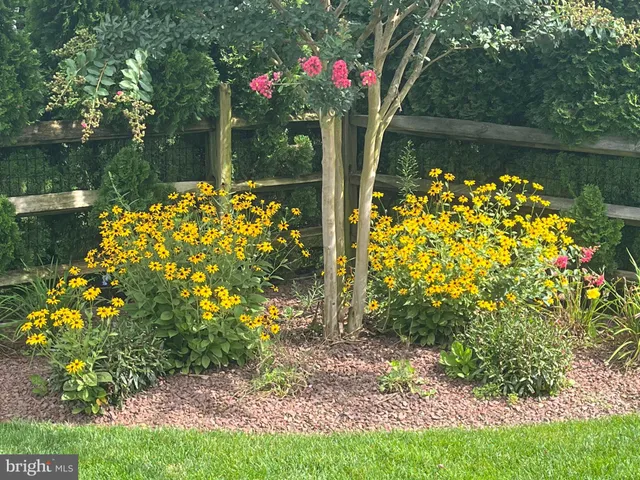 a front view of a lake with table and chairs