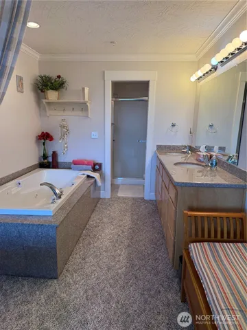 a bathroom with a tub sink and mirror