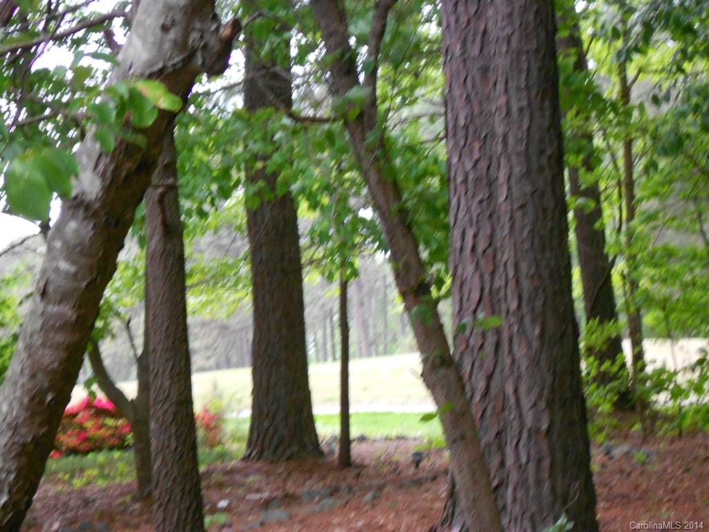 2997 Lake Shore Road South Denver, NC 28037 - Photo 3 of 16