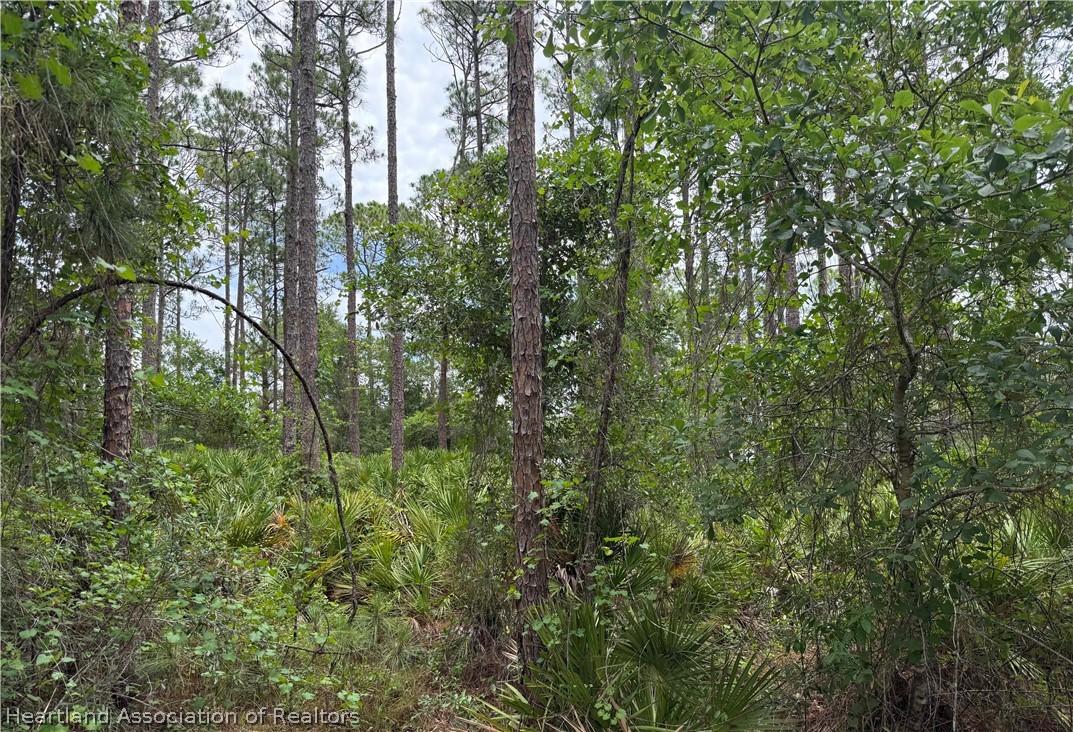 5708 Hazel Road Sebring, FL 33875 - Photo 3 of 8