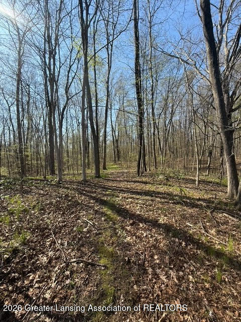 0 27 27 Mile Road Albion, MI 49224 - Photo 2 of 47 16