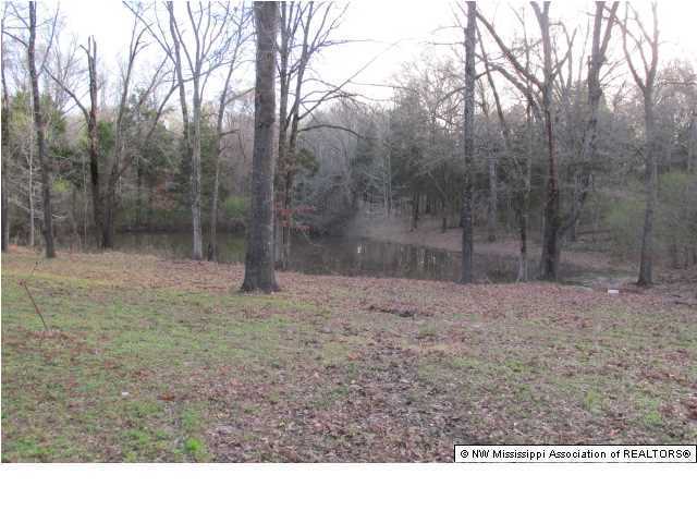 485 David Road Coldwater, MS 38618 - Photo 13 of 13 Additional Photo