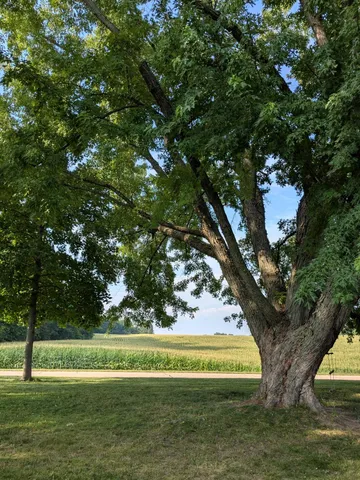 $240,000 | W10349 Valley View Road, Shawano, WI 54166