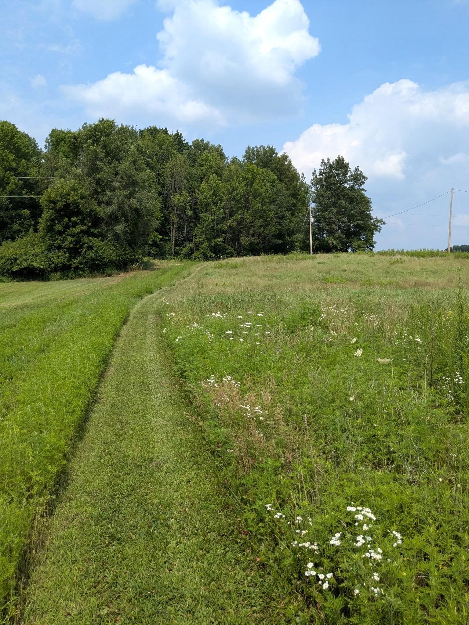 W10349 Valley View Road Shawano, WI 54166 - Photo 27 of 31