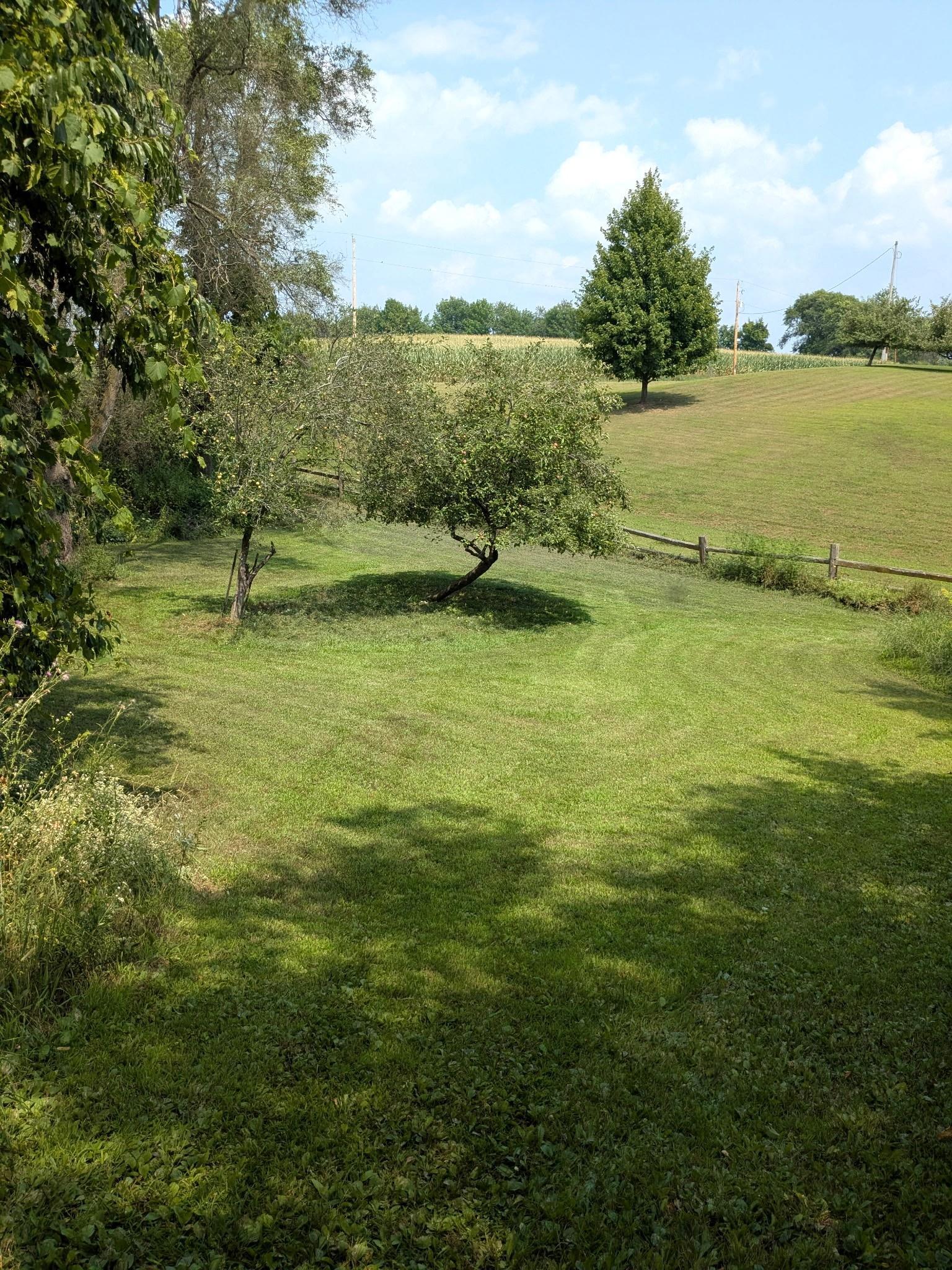 W10349 Valley View Road Shawano, WI 54166 - Photo 28 of 31