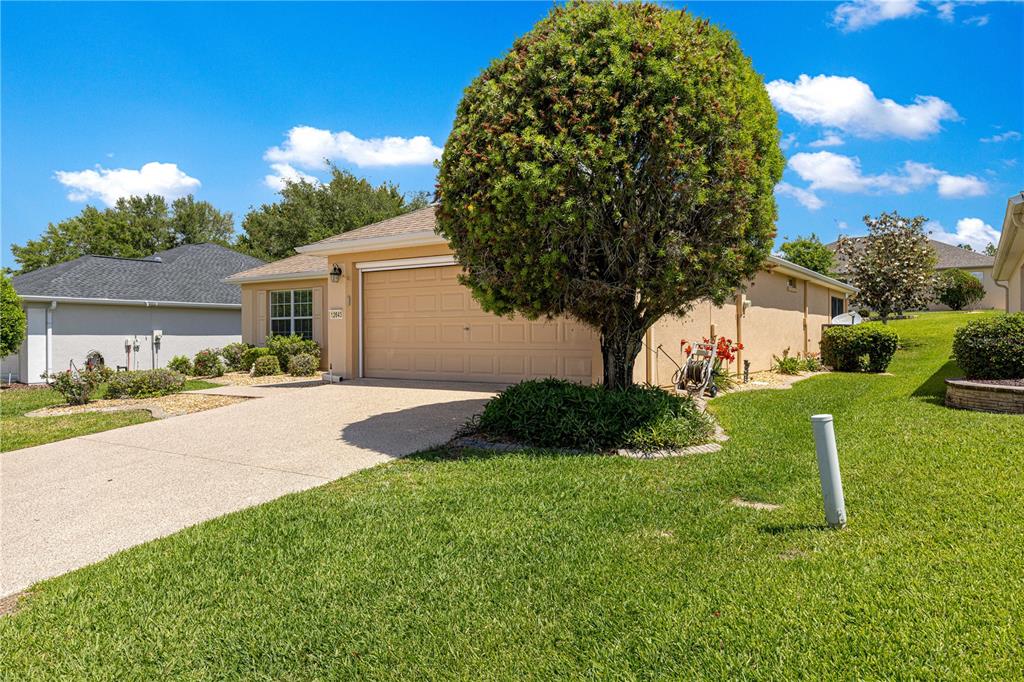 12643 Southeast 97th Terrace Road Summerfield, FL 34491 - Photo 33 of 53