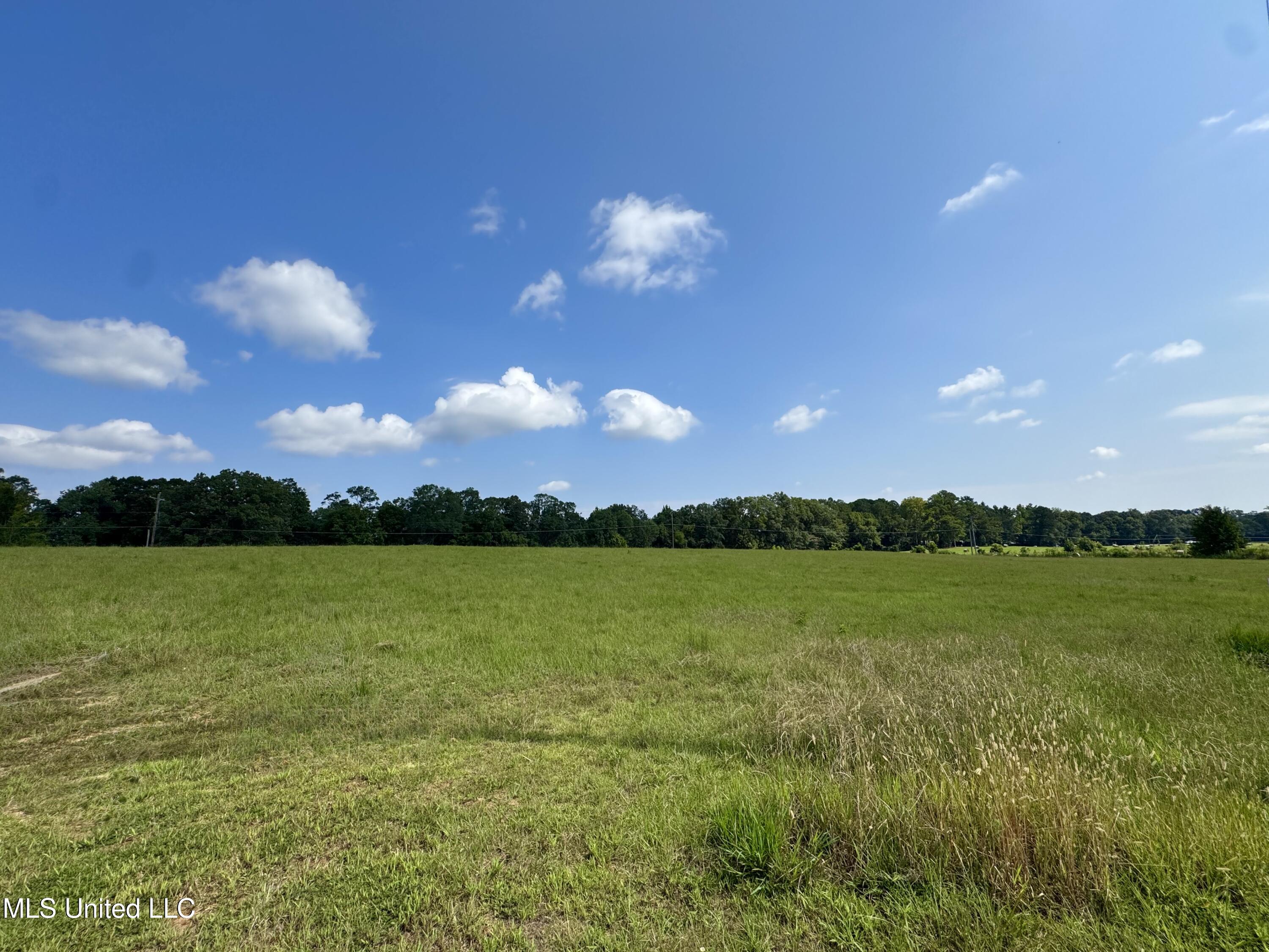 R1 Old Highway 16 Benton, MS 39039 - Photo 4 of 12 IMG_8875