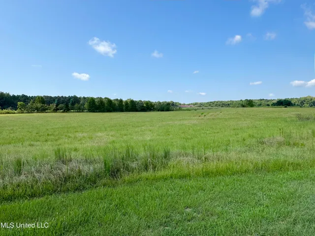 $42,075 | R1 Old Highway 16, Benton, MS 39039