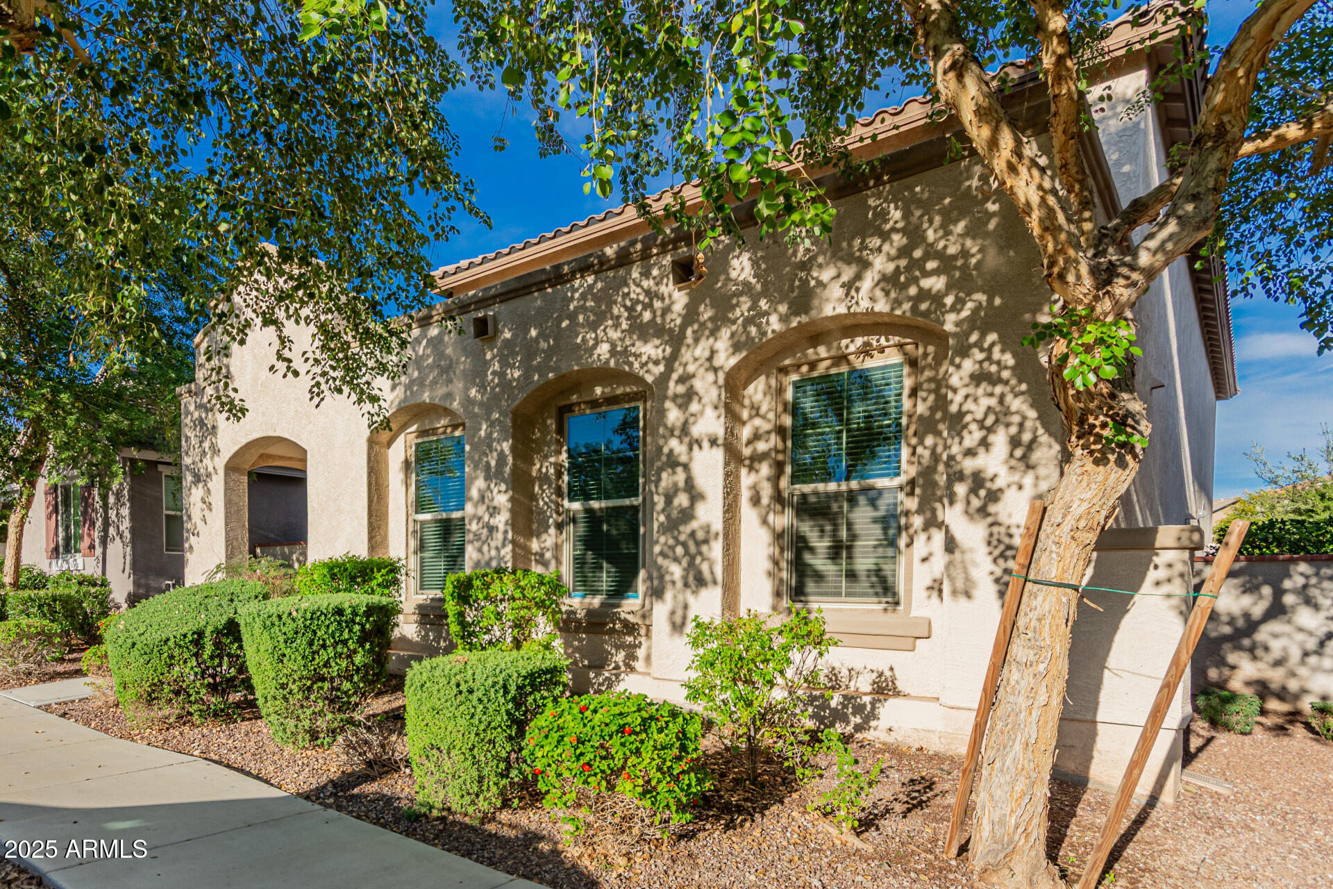 2389 North Riley Road Buckeye, AZ 85396 - Photo 2 of 15 05 - Riley 2389