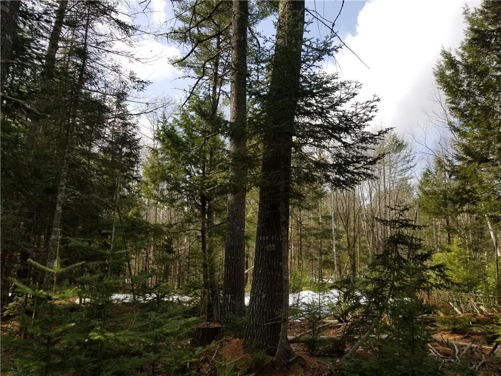 Tbd Tbd Head Tide Hill Road Whitefield, ME 04353 - Photo 8 of 20 Photo