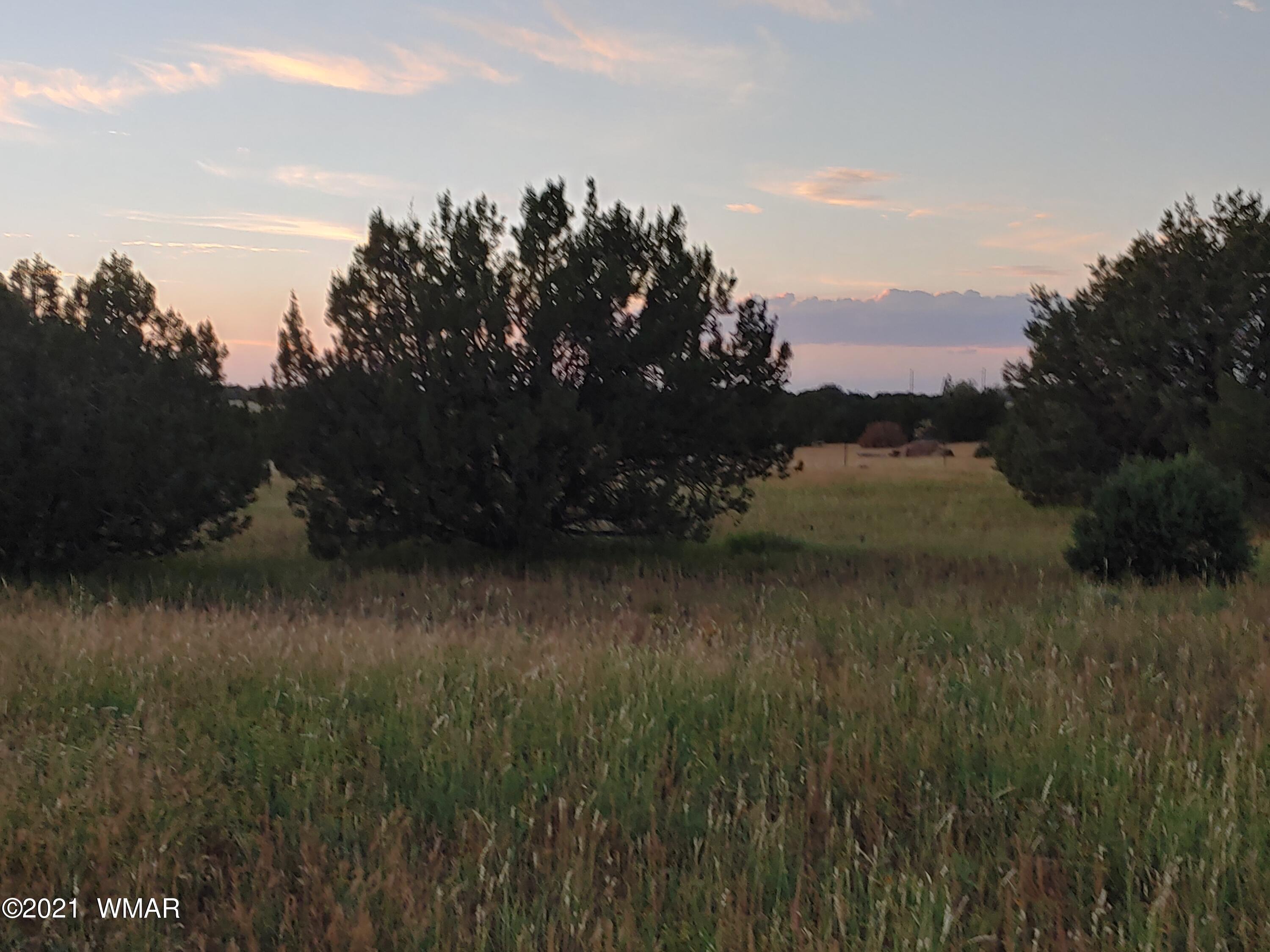 Tbd Weber Way Show Low, AZ 85901 - Photo 11 of 12