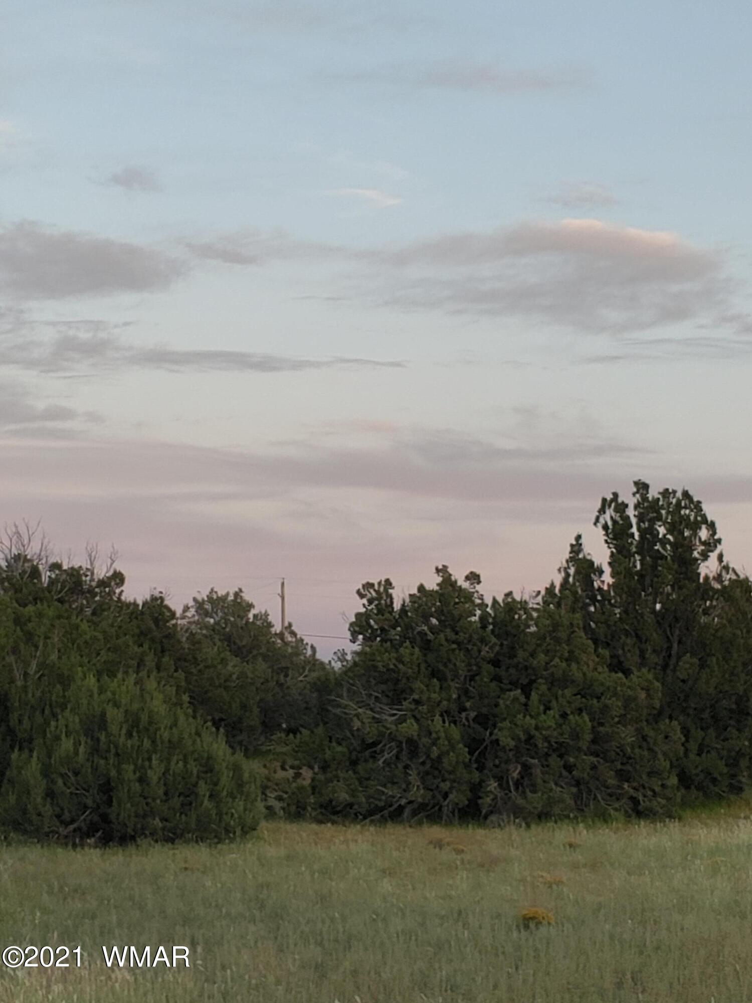 Tbd Weber Way Show Low, AZ 85901 - Photo 2 of 12