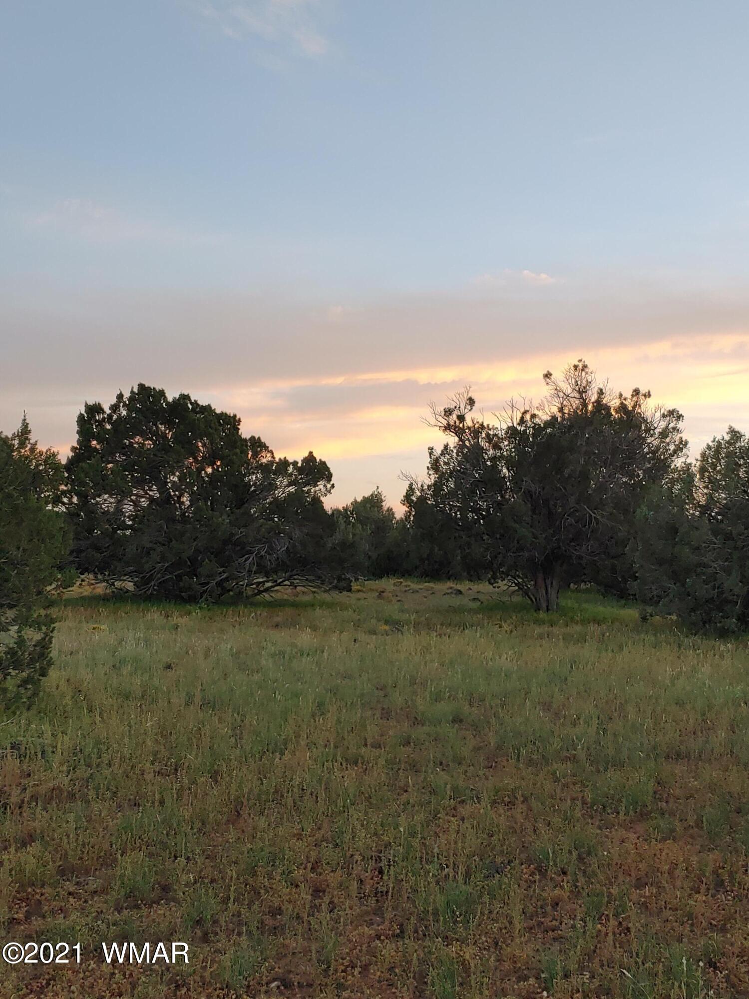 Tbd Weber Way Show Low, AZ 85901 - Photo 3 of 12