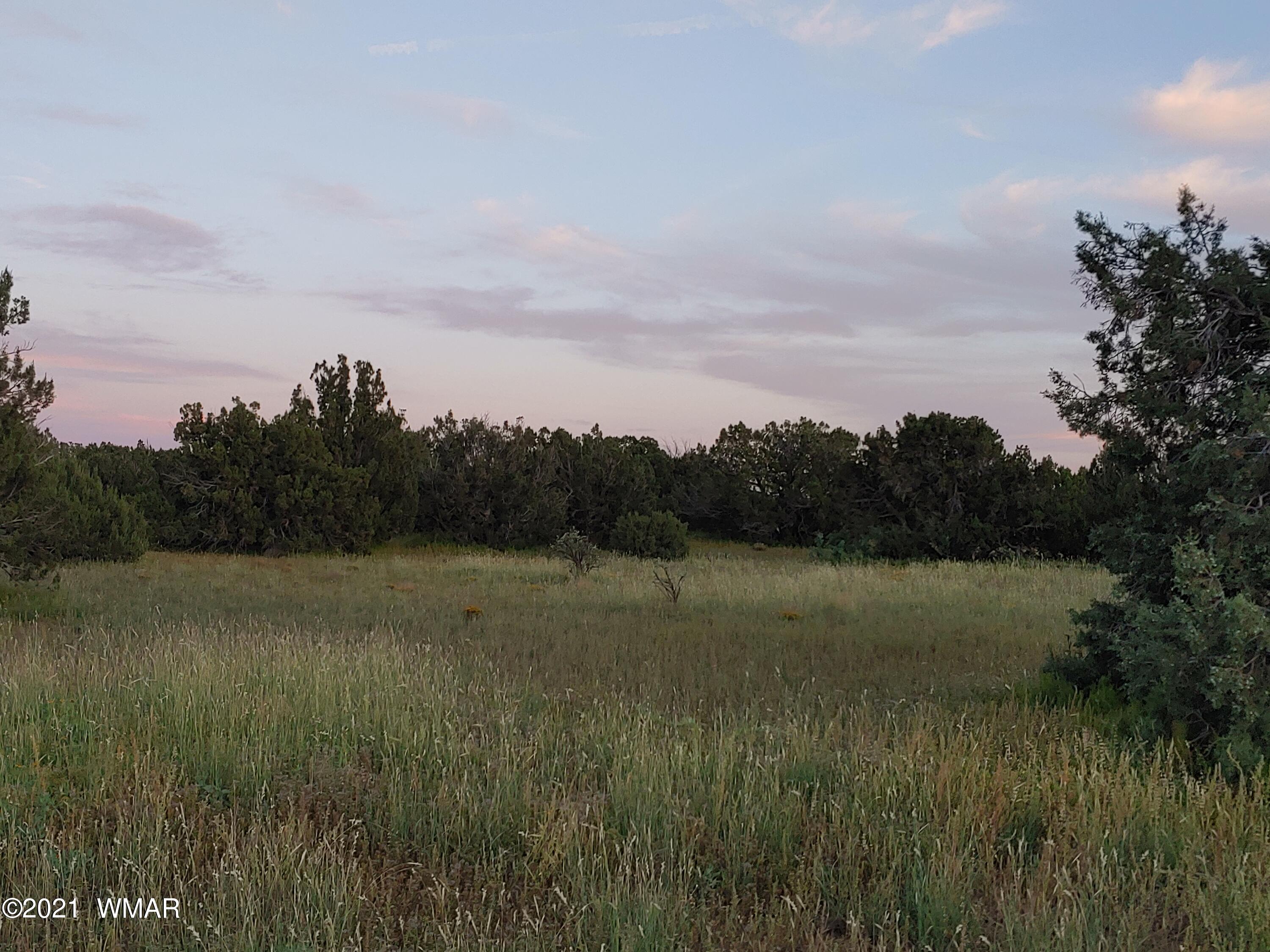 Tbd Weber Way Show Low, AZ 85901 - Photo 4 of 12