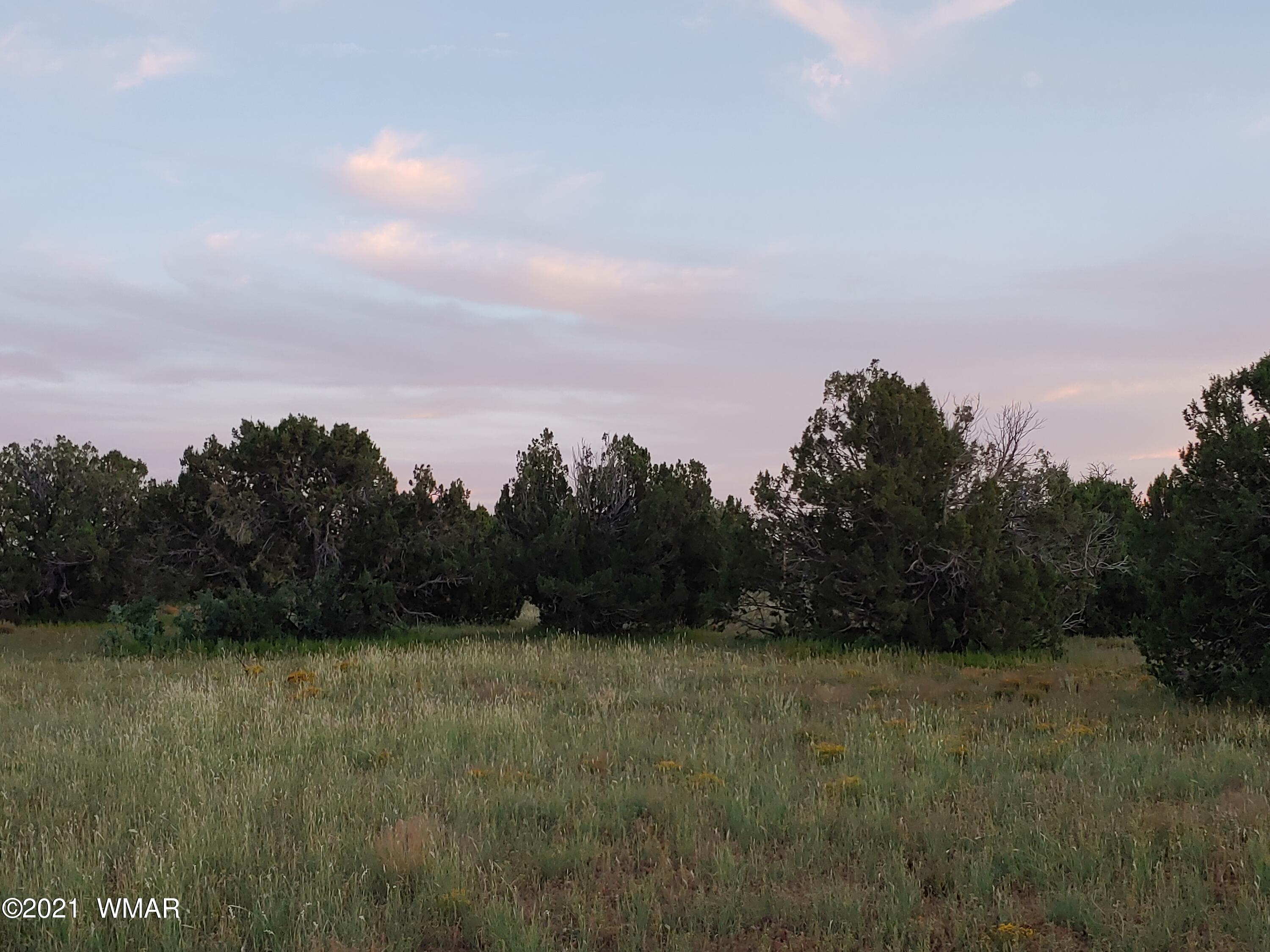 Tbd Weber Way Show Low, AZ 85901 - Photo 6 of 12