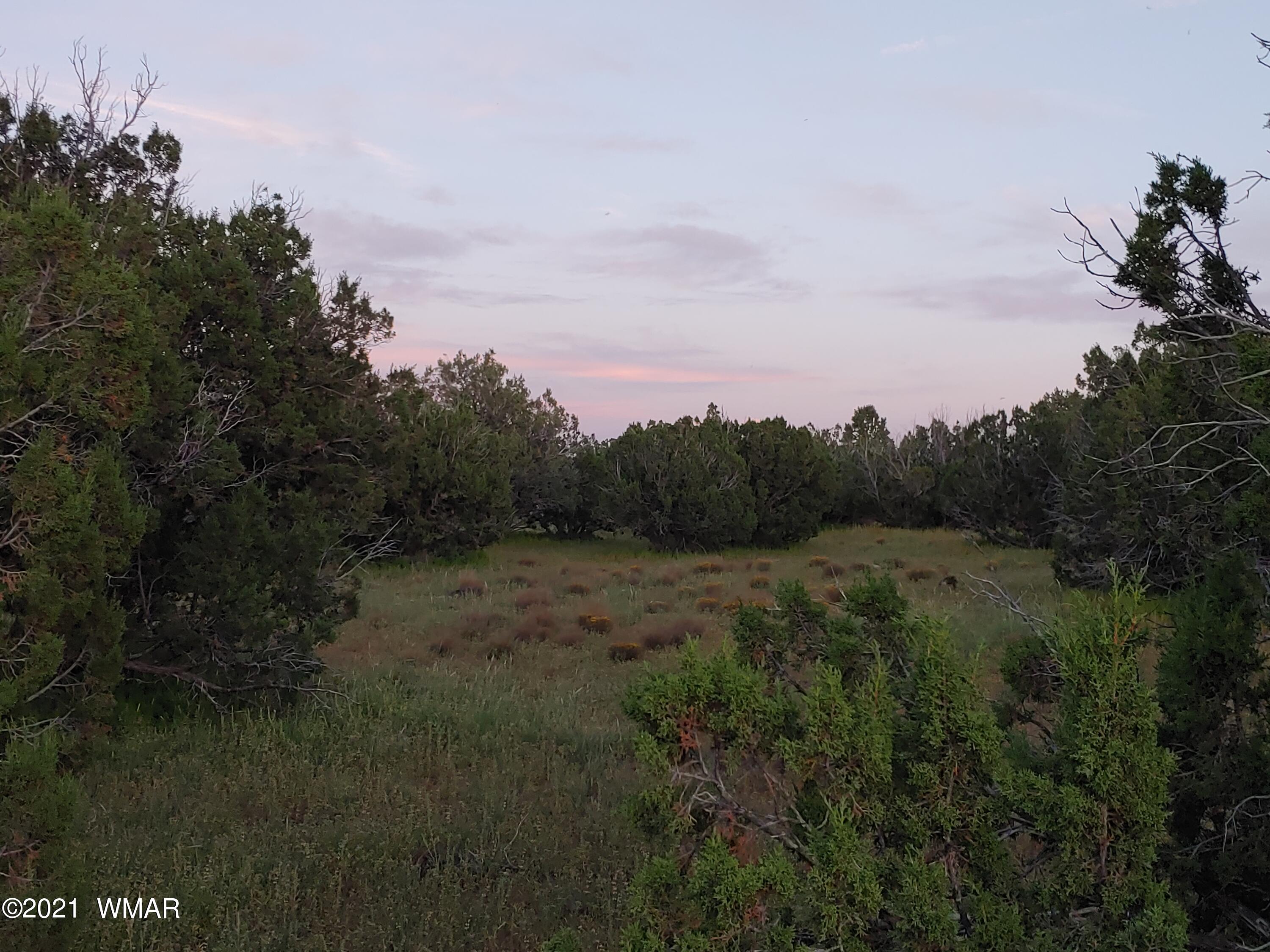Tbd Weber Way Show Low, AZ 85901 - Photo 7 of 12