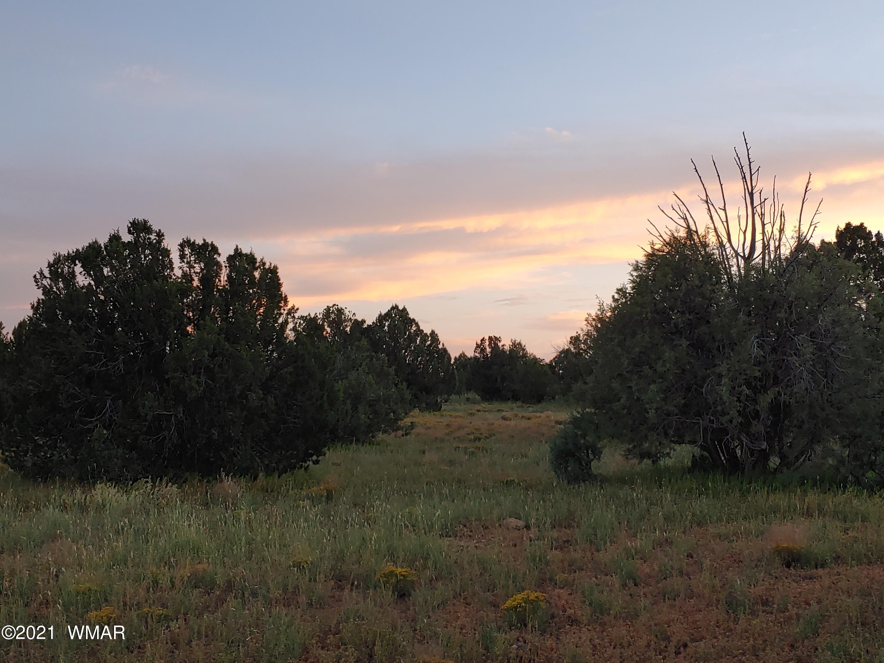 Tbd Weber Way Show Low, AZ 85901 - Photo 9 of 12