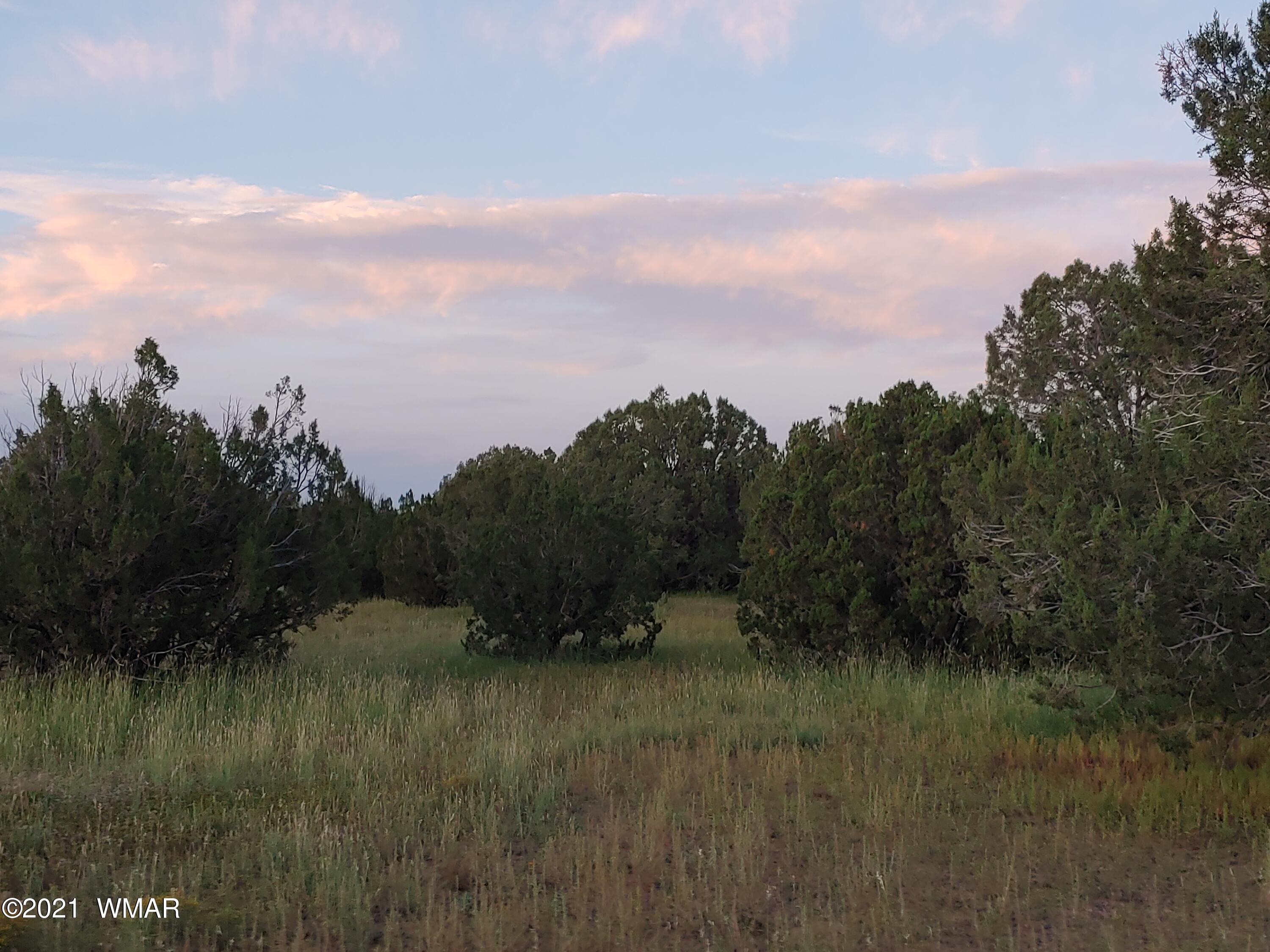 Tbd Weber Way Show Low, AZ 85901 - Photo 10 of 12