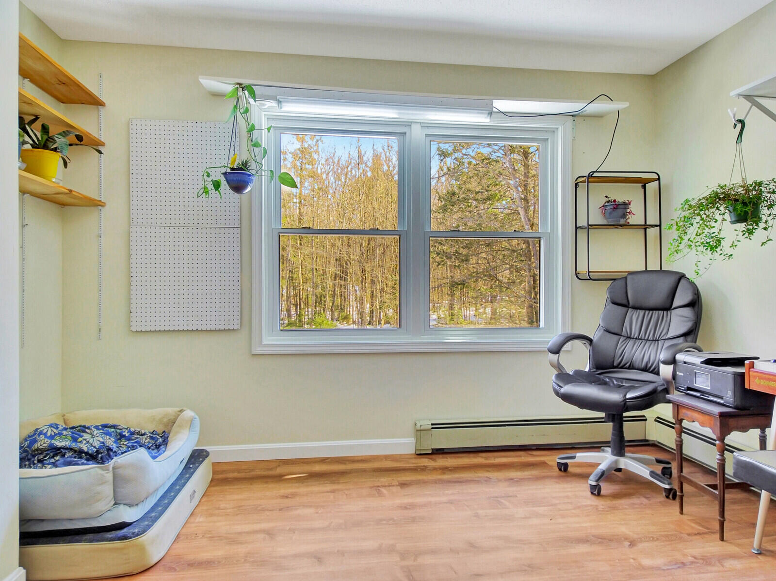 6 Ladyslipper Lane Freeport, ME 04032 - Photo 36 of 93 89_DJI_0306_DxO_mls