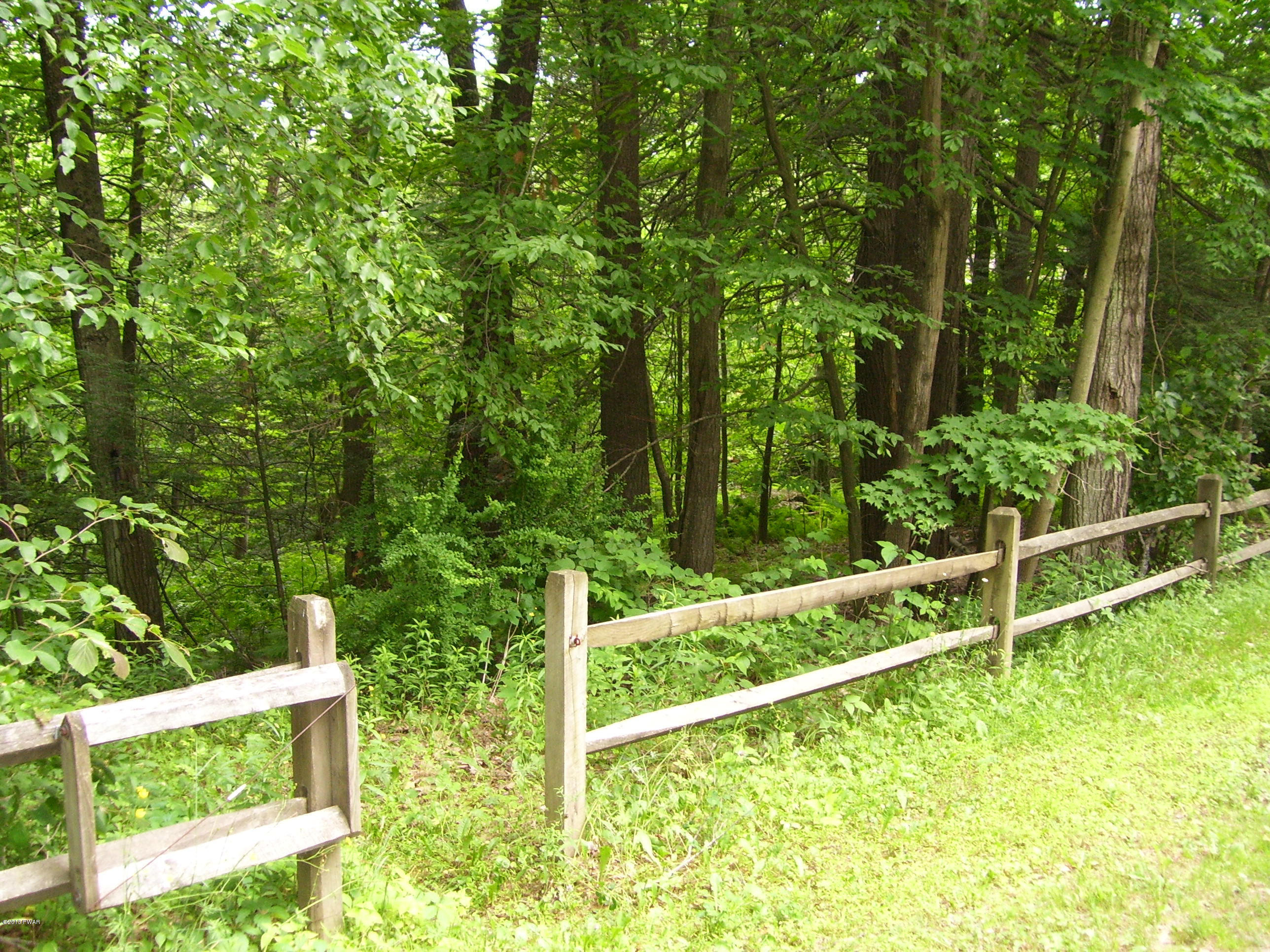 24 Pine Beach Road Lakeville, PA 18438 - Photo 62 of 74
