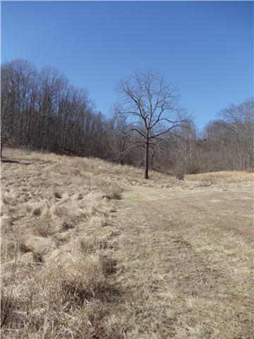 1031 Wallace Road Gallatin, TN 37066 - Photo 11 of 11