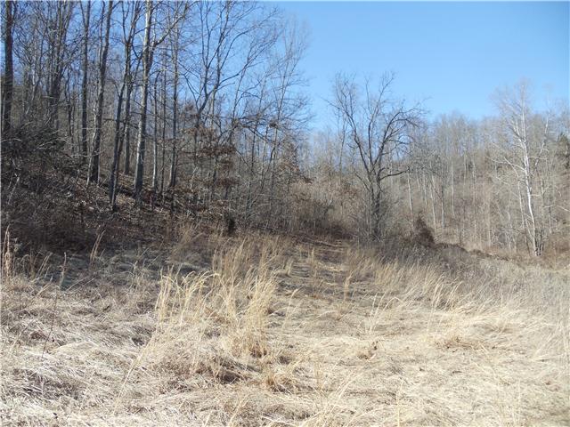 1031 Wallace Road Gallatin, TN 37066 - Photo 3 of 11