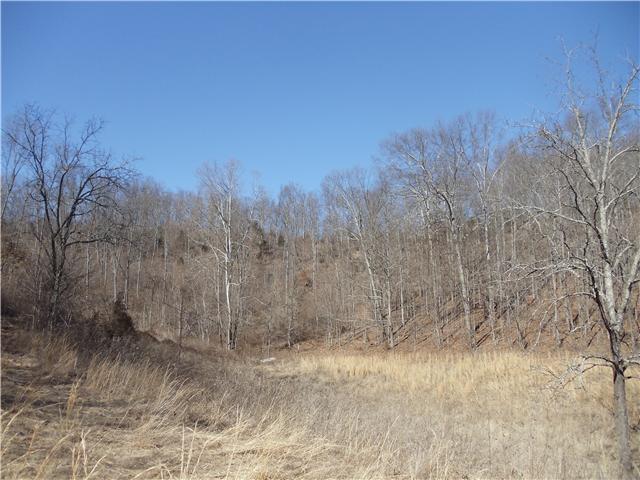 1031 Wallace Road Gallatin, TN 37066 - Photo 4 of 11